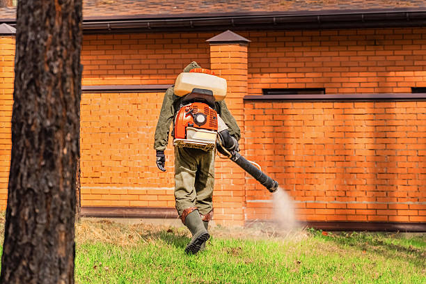 Trusted Mosquito Control service in Grimes, IA - Nex Pest Control